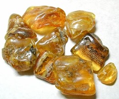 Ambre Jaune